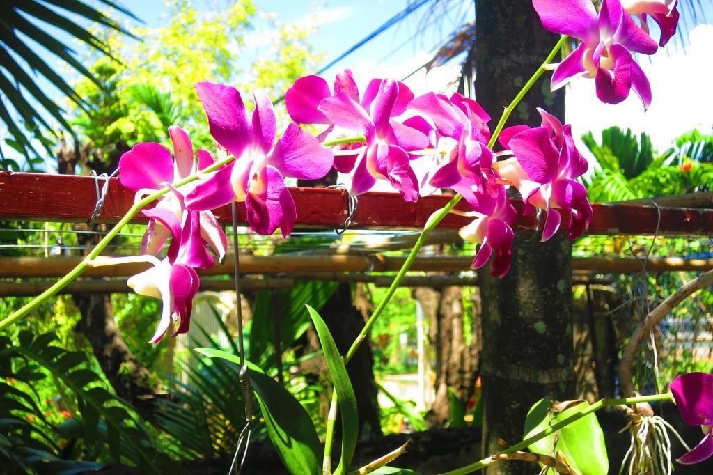Kampot Guesthouse Esterno foto